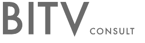 Logo BITV-Consult